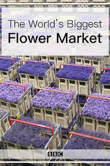 世界上最大的鲜花市场