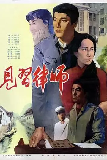 见习律师1982[电影解说]
