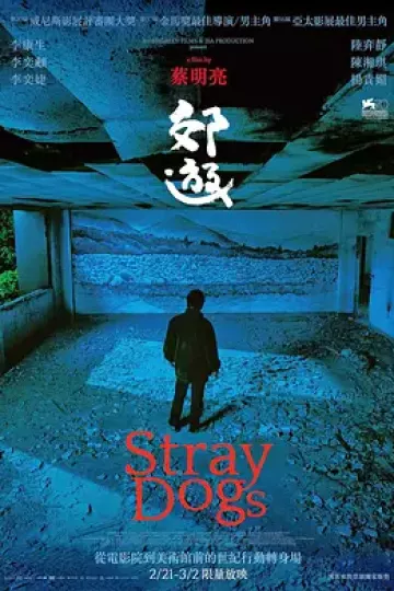 郊游2013
