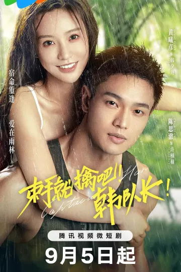 束手就擒吧!韩队长!