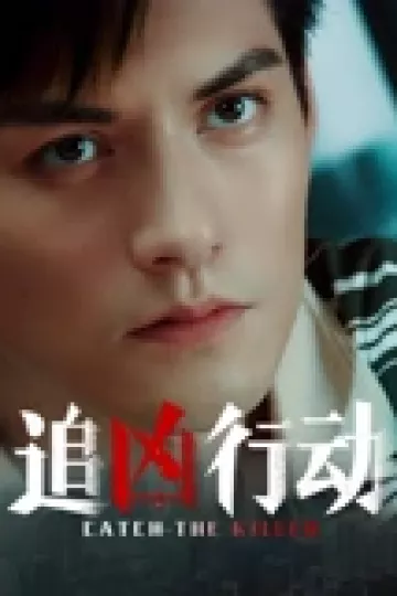 追凶行动