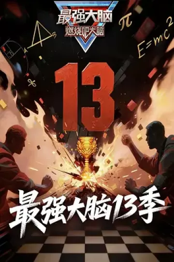 最强大脑第十三季