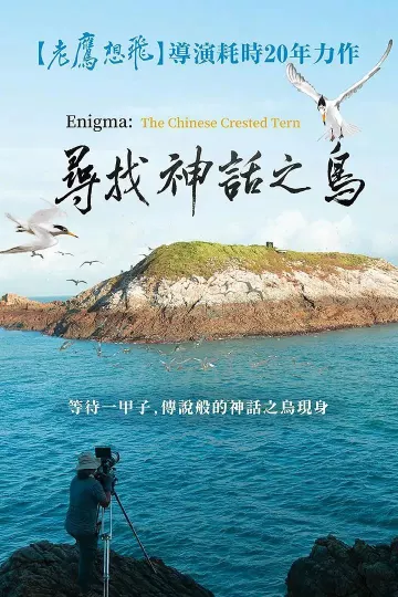 寻找神话之鸟