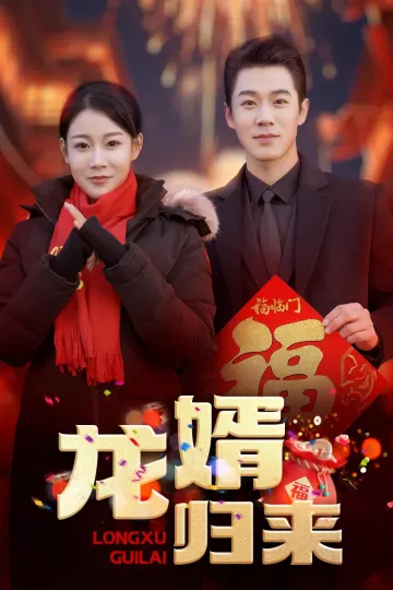 龙婿归来