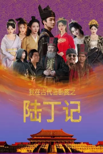 我在古代当卧底之陆丁记