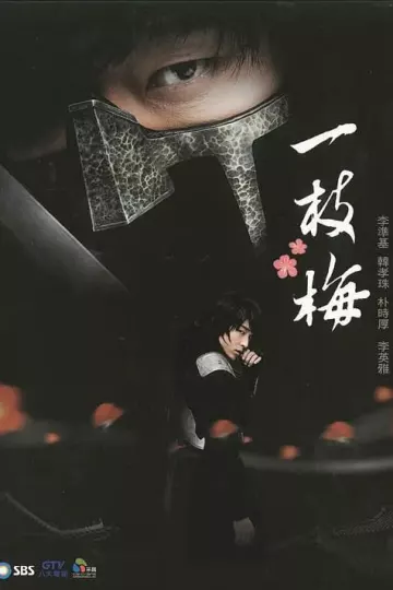 一枝梅韩版