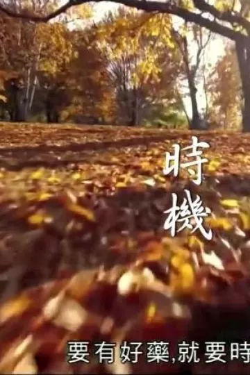 神奇百草游粤语