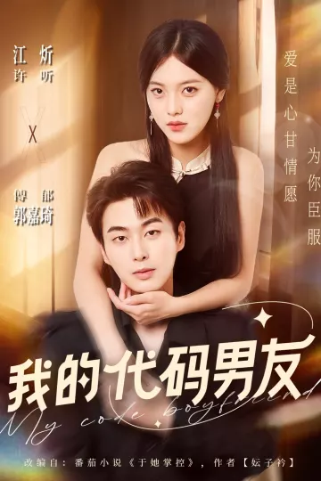 我的代码男友
