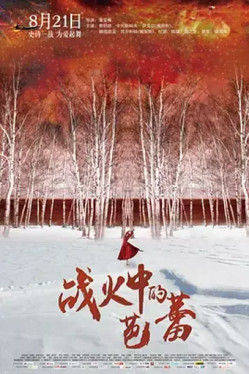 战火中的芭蕾[电影解说]
