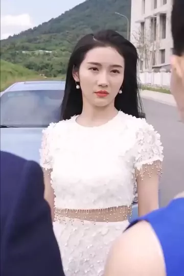 都市至尊豪婿