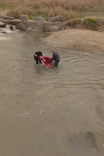 我在80年代撩首富
