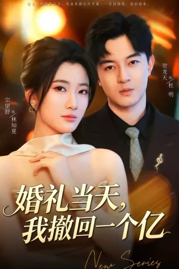 婚礼当天，我撤回一个亿
