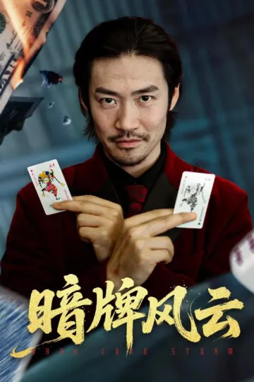 暗牌风云