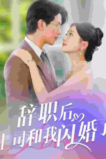 辞职后上司和我闪婚了