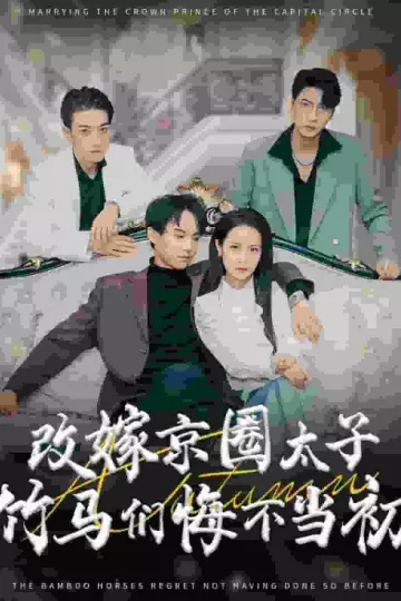 改嫁京圈太子竹马们悔不当初