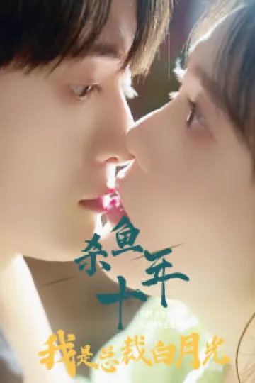 杀鱼十年我是总裁白月光