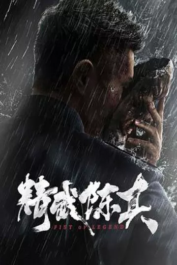 精武陈真电影版