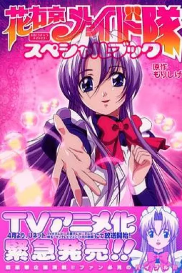 花右京女侍队OVA