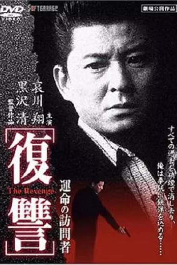 复仇:命运的访问者