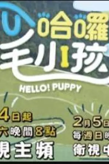 哈啰！毛小孩