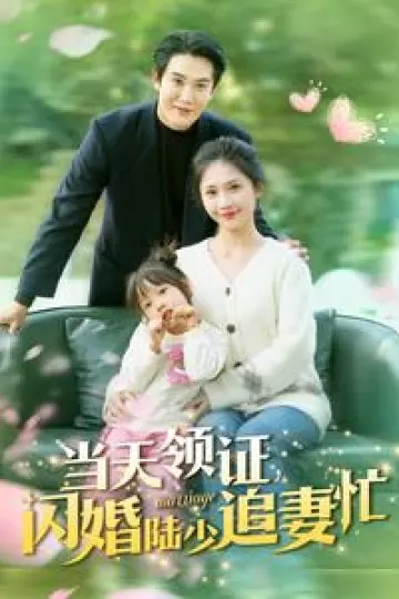 当天领证闪婚陆少追妻忙