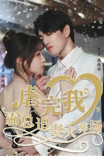 虐完我,霸总追妻火葬场