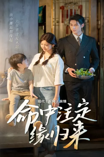 命中注定缘归来