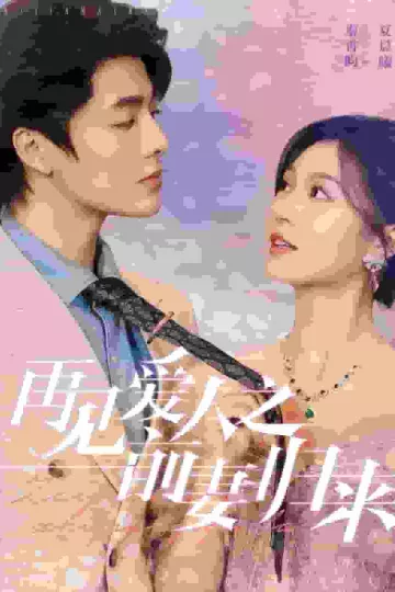 再见爱人之前妻归来