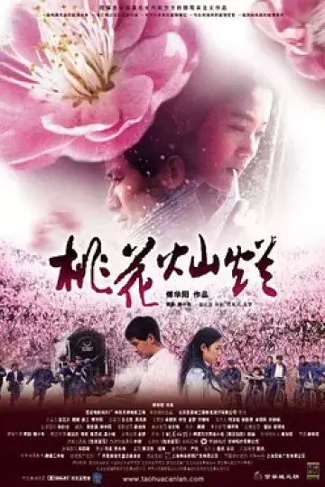 桃花灿烂2005
