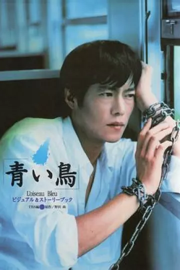 青鸟1997