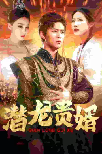 潜龙贵婿