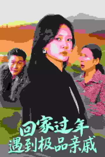 回家过年遇到极品亲戚