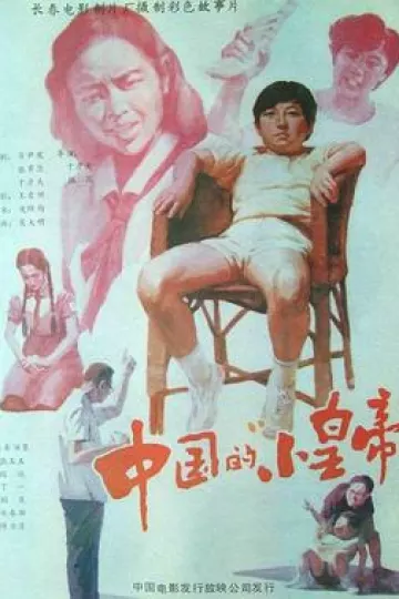 中国的“小皇帝”[电影解说]