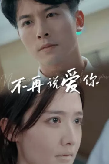 不再说爱你