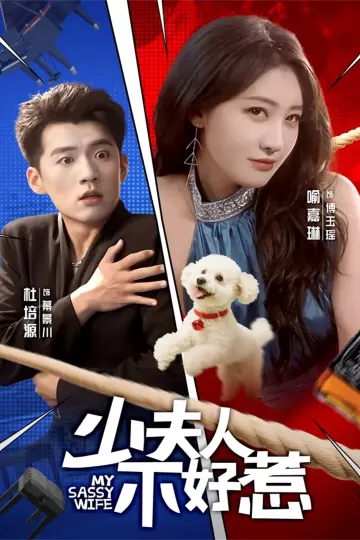 少夫人不好惹