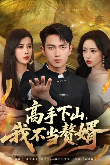 高手下山我不当赘婿