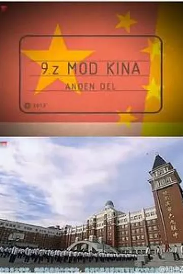 丹麦9年z班 VS 中国初三13班[电影解说]