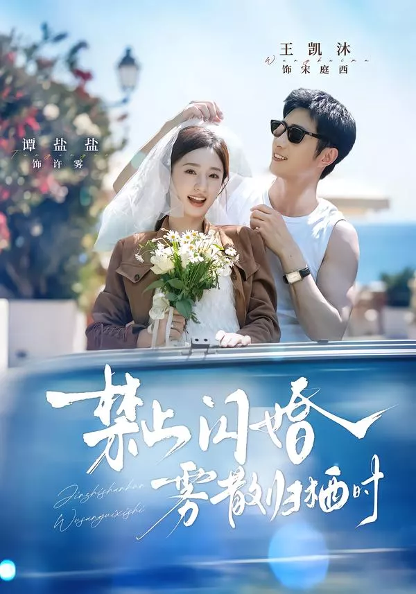 禁止闪婚，雾散归栖时