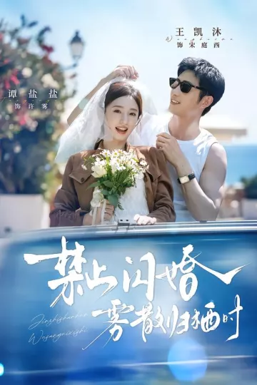 禁止闪婚，雾散归栖时
