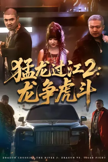 猛龙过江2：龙争虎斗