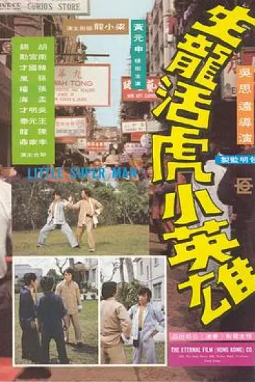 生龙活虎小英雄