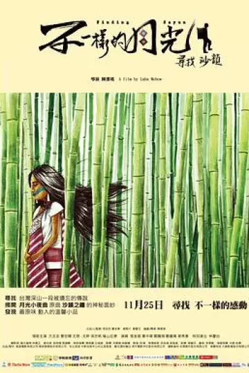 不一样的月光