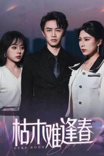 枯木难逢春