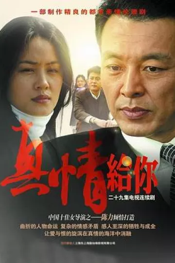 真情给你
