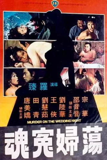荡妇冤魂[电影解说]