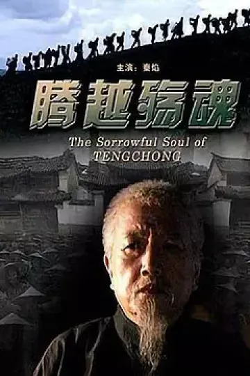 腾越殇魂[电影解说]