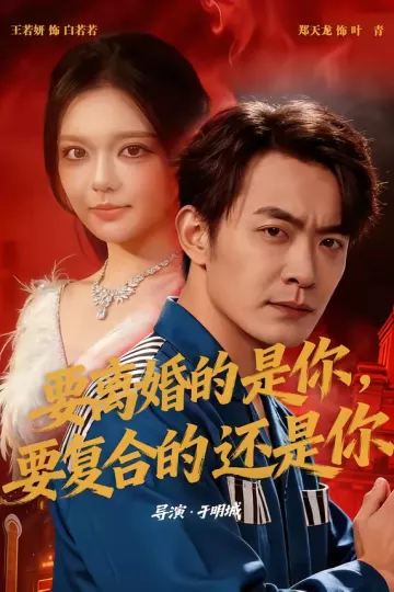 要离婚的是你，要复合的还是你