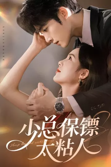 少总保镖太粘人