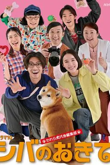 柴犬的规矩~我们这群狗痴编辑部~