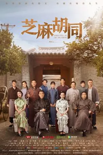 芝麻胡同[电影解说]